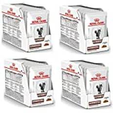 Royal Canin Veterinary Gatrointestinal måttlig kalori | 4-pack | 4 x 12 x 85 g | komplett diet för katter | För att lindra akuta absorptionsproblem i tarmen