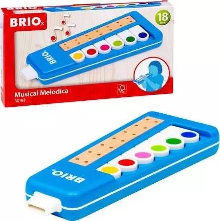 Musical Melodica