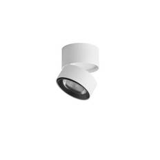 Ray Spot Ceiling/Wall Spotlight