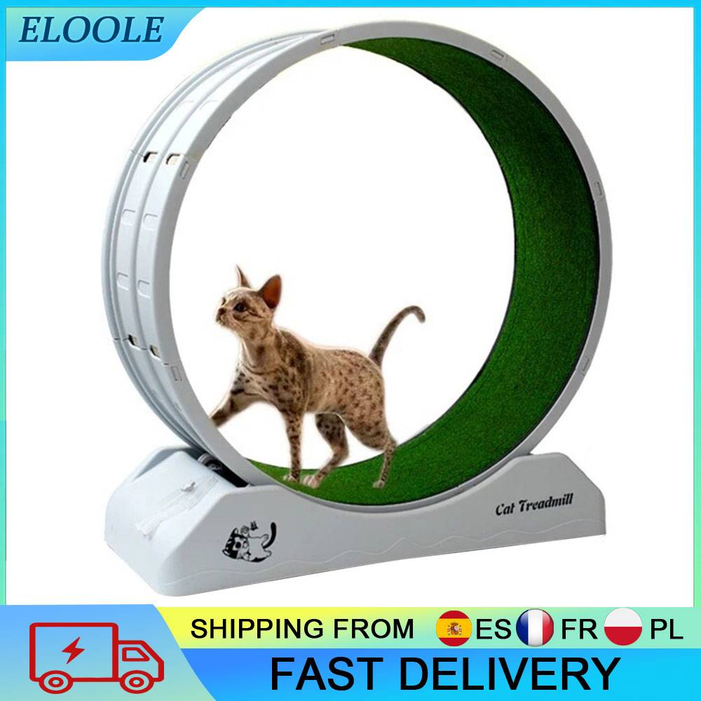 Cat Treadmill Wheel Silent Roller System Anti-Pinch Cat Exercise Treadmill For Indoor Cats Quiet Pet Toy For Cat Exercise For Indoor Cats