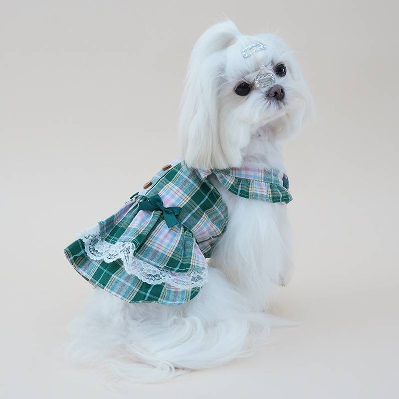 Dog Plaid Dress for Small Dogs Cute Pet Lace Skirt with Bow Puppy Clothes for Girl Dogs Dog Outfit pet Apparel for Daily Wear