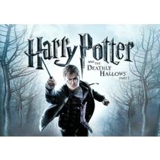 Harry Potter and the Deathly Hallows Part 1 (PC) EA App Key - GLOBAL