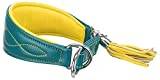 Läderhalsband ACTIVE komfort för vindhundar, XS-S: 24–31 cm/50 mm, fotogen/gul, läder, halsband, grimmar, hundar, nyheter