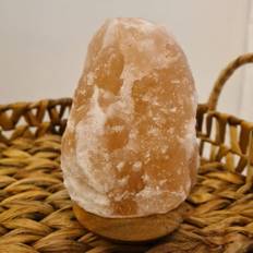 Himalaya Saltlampa