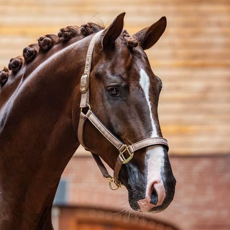 Equestrian Stockholm grime "Line" - Champagne.