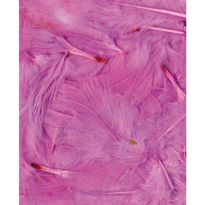 LIGHT PINK FEATHERS - 12 CM