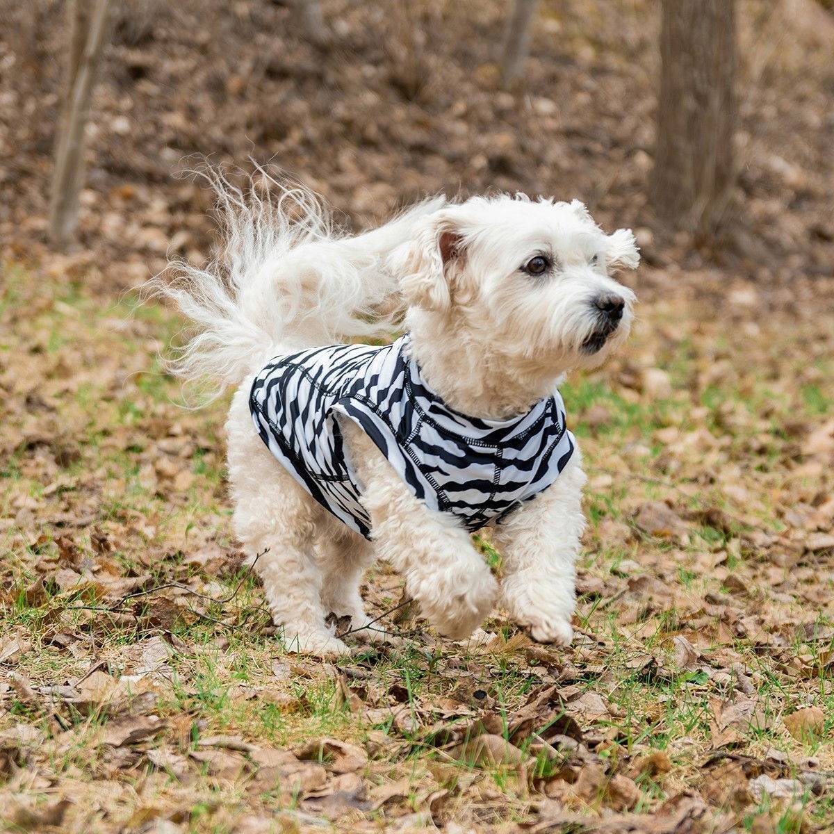 Rukka Zebra Fästingskydd Hundtröja (M)