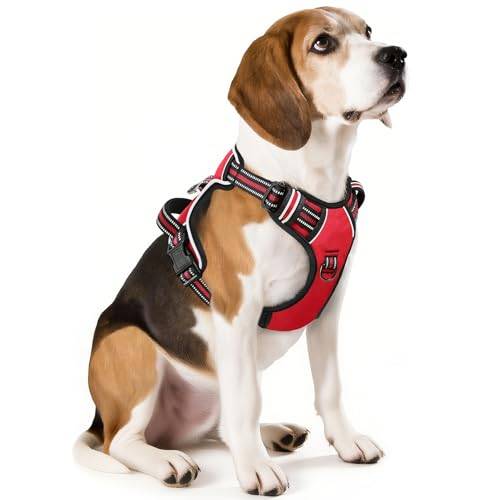 HEELE Hundsele, No-Pull-hundsele, Hundsele Antidrag, Bröstsele för Hundar, Sele för Små, Medelstora och Stora Hundar, Andningsbar, Justerbar, Reflekterande Hundsele Med Vadderat Handtag, Röd, M