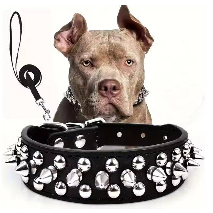 Hundhalsband med nitar och koppelset, Nithalsband i läder för hund, Justerbart hundhalsband för utomhuspromenader violett