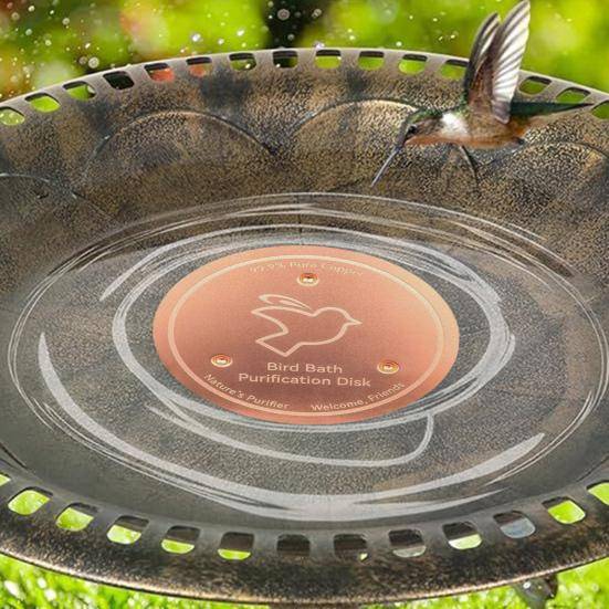 Fågelbad Koppar Rengöringsskiva Fågelbad Rengörare Kopparskiva 0,8 mm Tjock med Trepunktsstöd Fysisk Rengöring