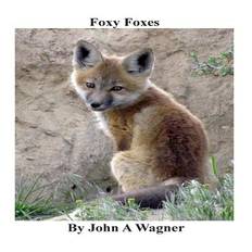 Foxy Foxes - John A Wagner - 9781508881230