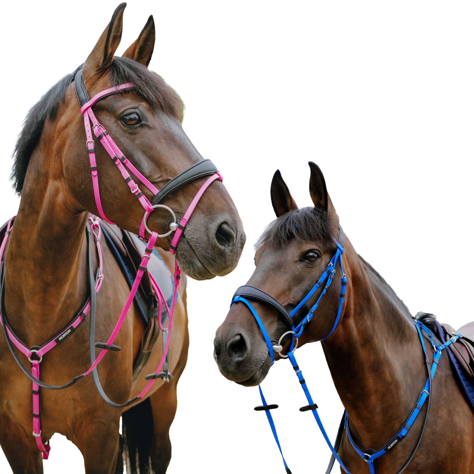 Norton endurance trense - Pop Sort Full