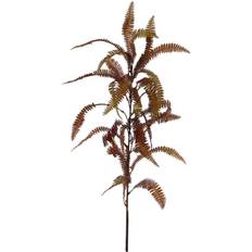 Fernleaf