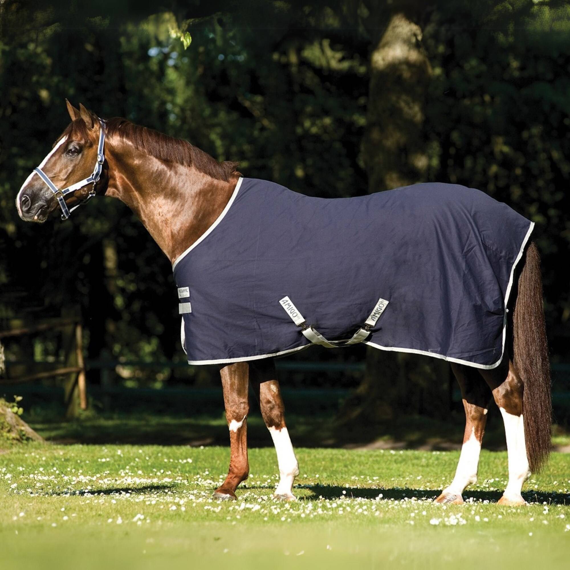 Amigo Stable Sheet - Marin/Silver, Horseware
