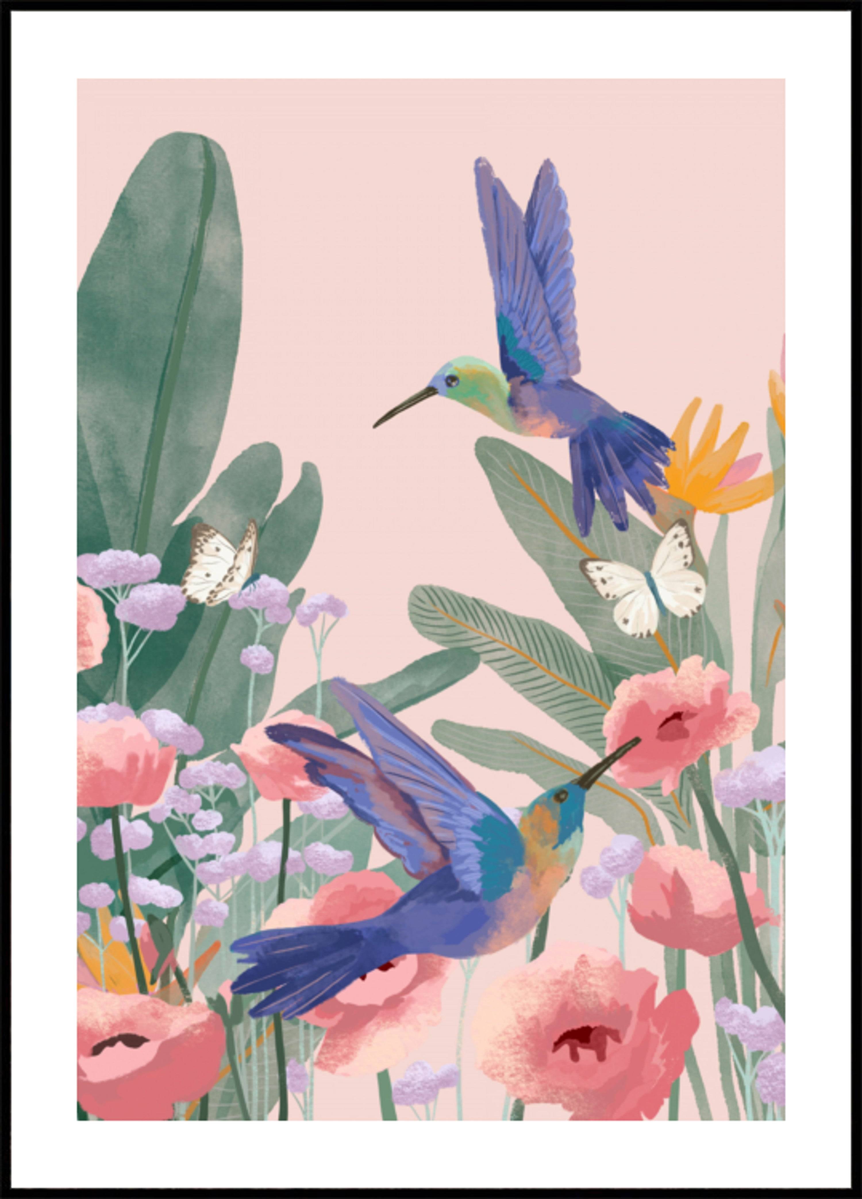 Hummingbirds (30x40) - Plakater > Osorterade verk