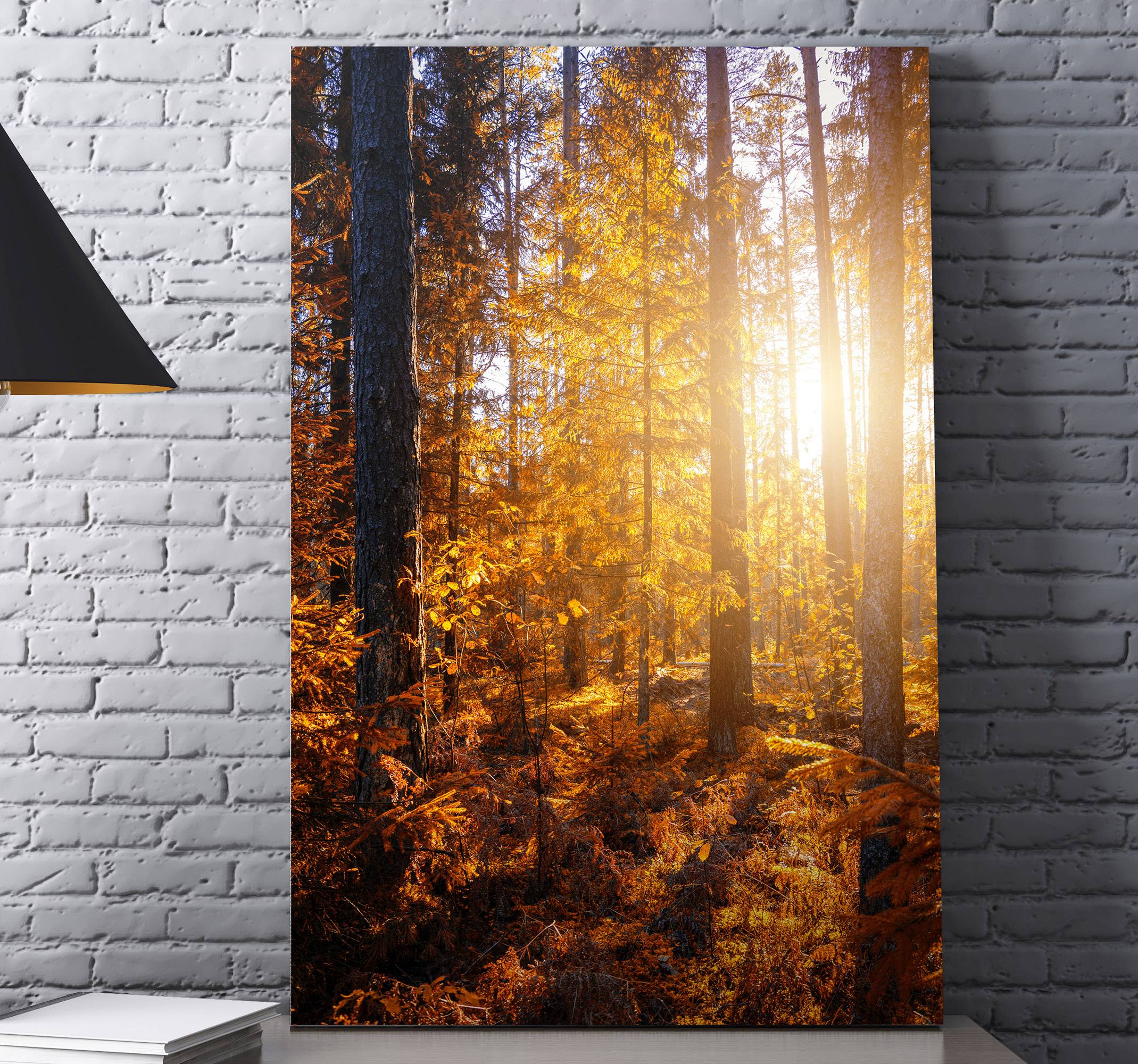 Skog sol träd landskap canvas tavla