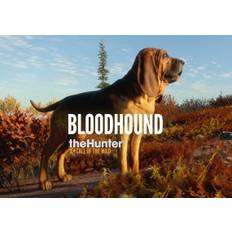 theHunter: Call of the Wild - Bloodhound (DLC) (PC) Steam Key - GLOBAL