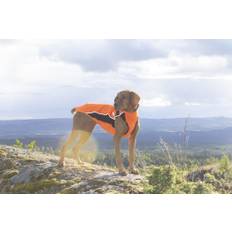 Back on Track Hundtröja Eddie Orange 45cm