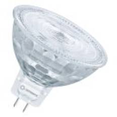 OSRAM-LEDVANCE - MR16 20 36° DIM P 3.4W 927 GU5.3 LED-Reflektorlampe GU5,3 3,4W G 2700K 230lm dim