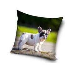 Fransk bulldog - Kuddfodral 40x40cm