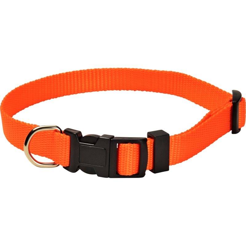 Halsband Colour traxx® Orange