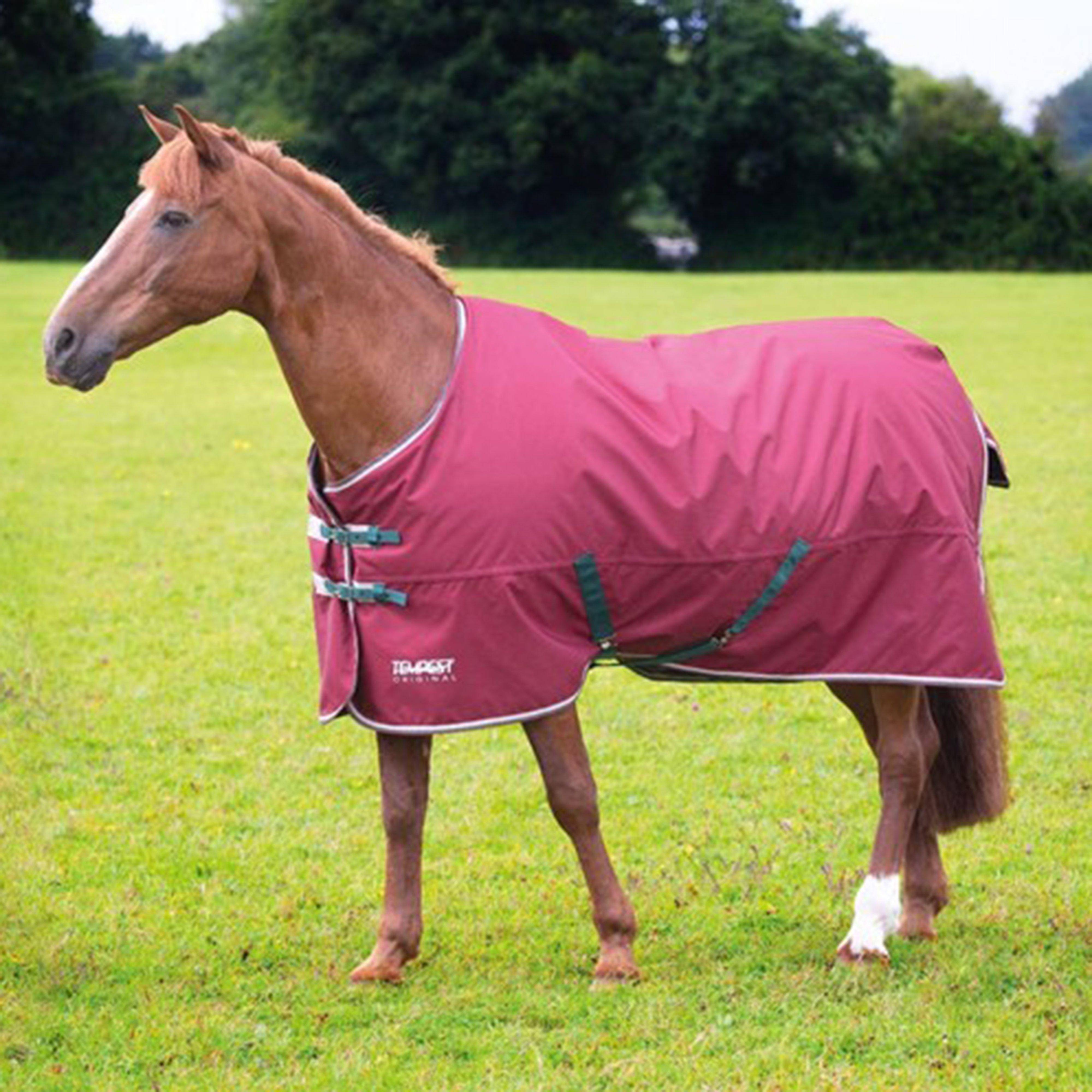 Shires Tempest Original Standard Neck 200g Medium Weight Turnout Rug, Burgundy - 4'0