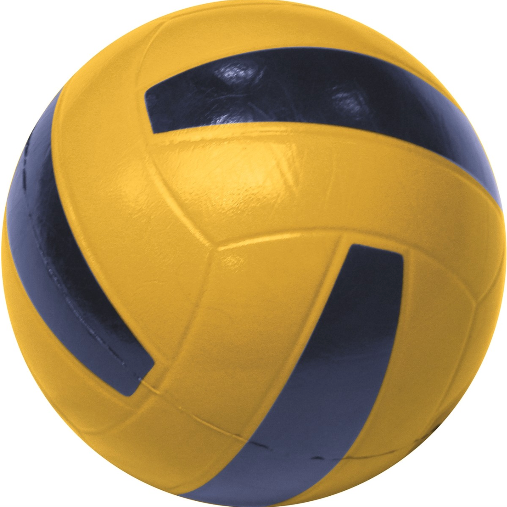 Volleyball Skin Bold 10