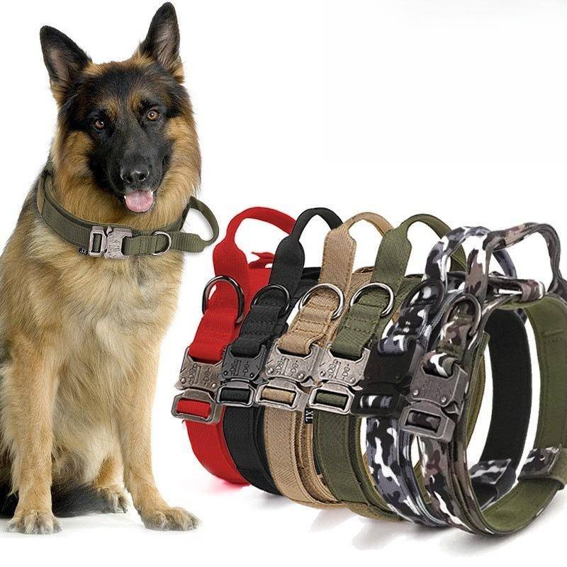 Stor Hund Träningshalsband Husdjurshalsband Militär Hundhalsband Mellan och Stor Hund Utomhusträning Hundkoppel Taktiskt Halsband