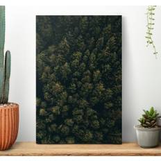 "natur" flygfoto grön brun tallar landskap vägg canvas