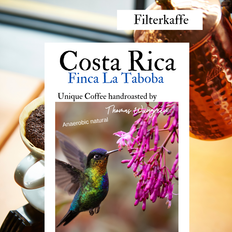 Costa Rica, Finca La Taboba, Don Senel Anaerobic, Friskristet kaffe hele bønner 1000 gr