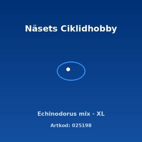 Echinodorus mix – XL