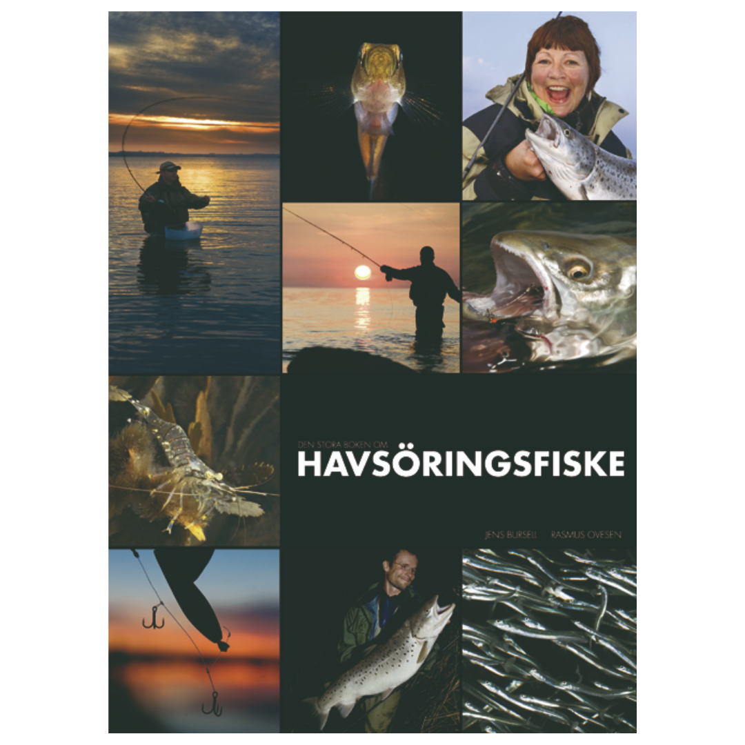 Den stora boken om HAVSÖRINGSFISKE - Inbunden 210x280 mm 304 sidor
