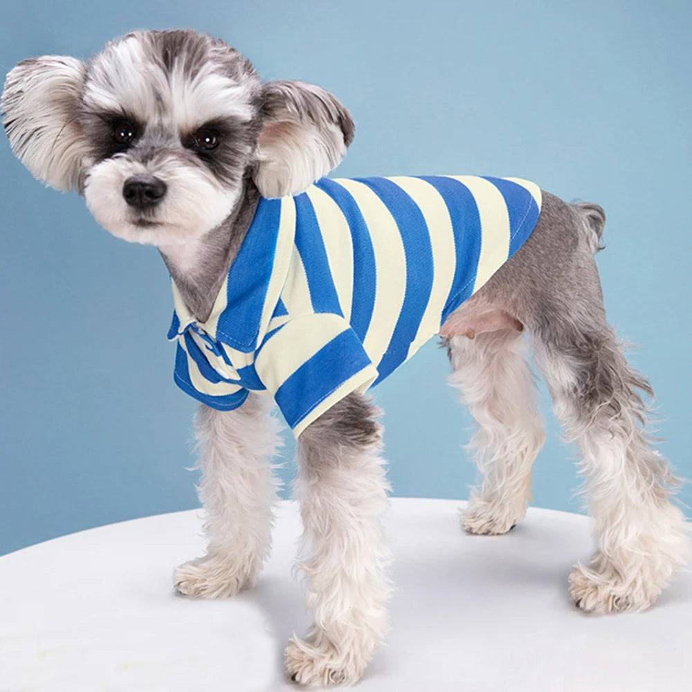 Striped Polo Shirt for Cats & Small Dogs - Blue Thick Stripe / M-suit 1.5-2.5kg / SPC (M-suit 1.5-2.5kg)