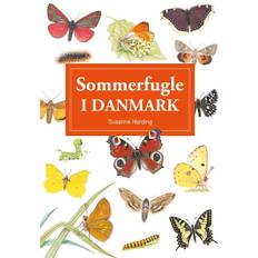 Sommerfugle i Danmark (Spiralryg, Dansk)