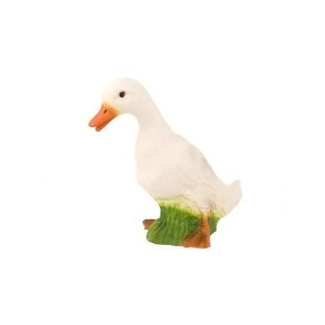 lampe And