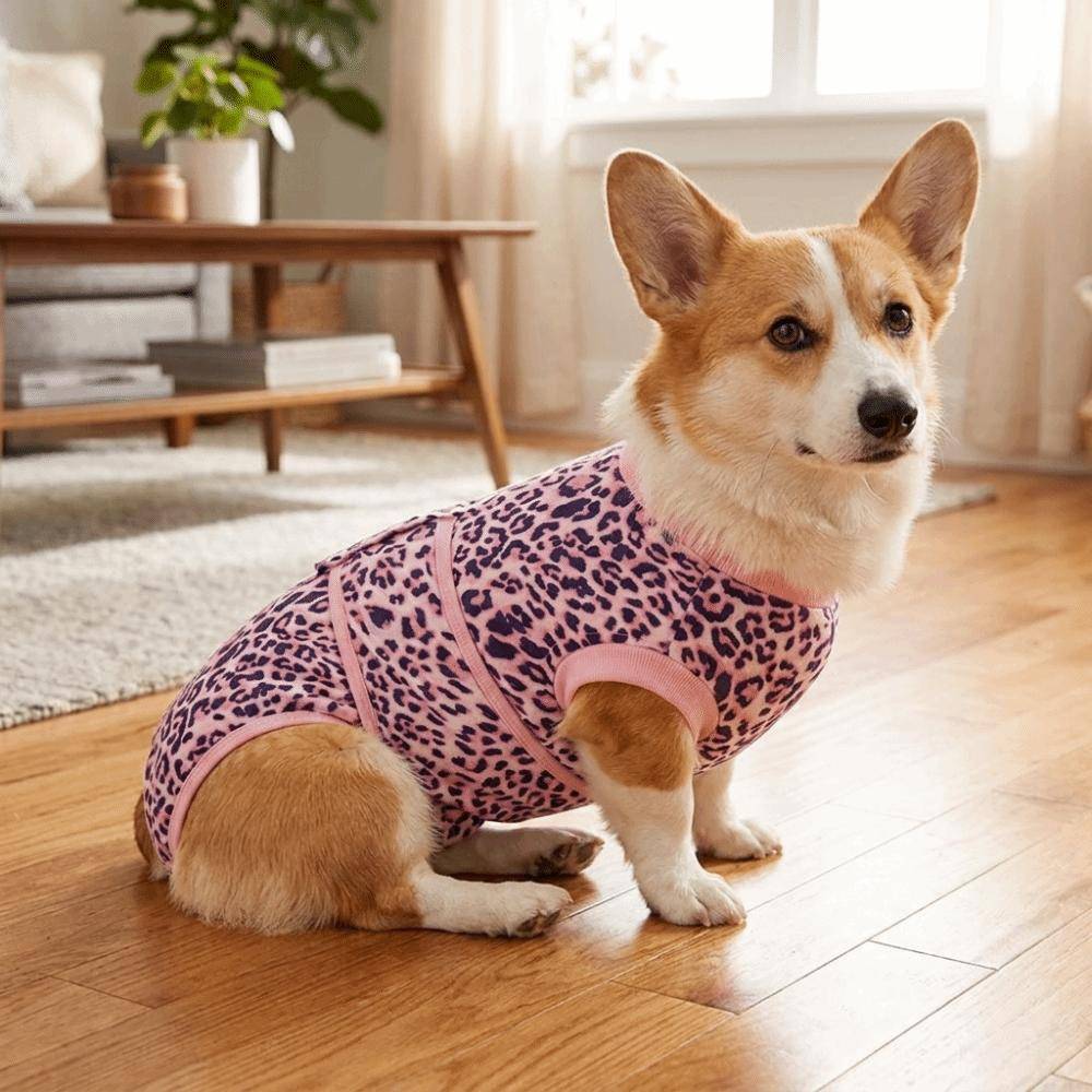 Breathable Dog Recovery Suit Elastic Dog Anti-Licking Jumpsuit Sanitary Panties  Daily Wear