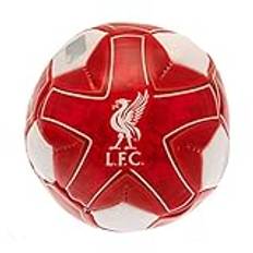 Liverpool 4 Inch Mini Soft Ball LI08307