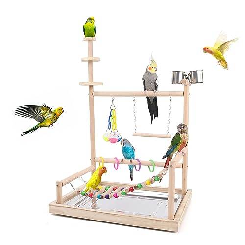 HPAWHOMEPART Trä fågel lekstativ – robust stabil och säker papegoja lek gym för parakiter afrikanska grå conures nymfparadueller papegojor och finkar, enkel montering innehåller färgglada leksaker och