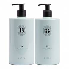 Björk AG Silver DUO Paket 750ml + 750ml, 750ml (750ml)