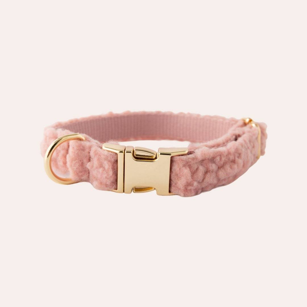 Halsband Hund Tezz traxx® Rosa