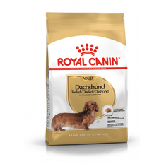 Royal Canin Dachshund / Gravhund Adult - over 10 m�neder