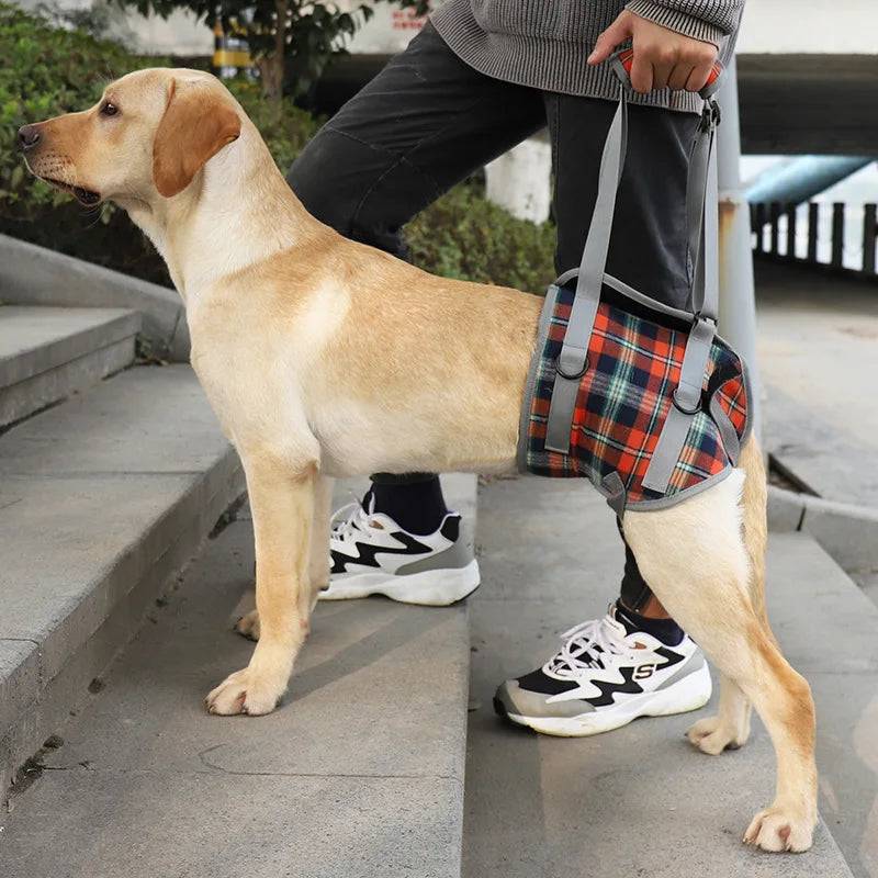 Adjustable Dog Rehabilitation Support Harness - S4 / S for 7.5-12.5kg (S for 7.5-12.5kg)