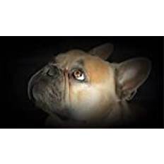 1314 bit pussel, golvpussel för hund för barn Vuxen-75x50 cm (29,52x19,68 tum)