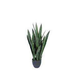 Plante Bajonet 90 cm inkl krukke