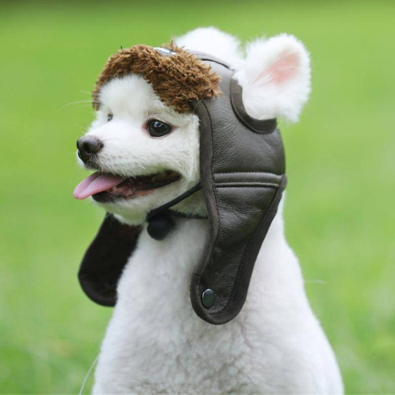 Pet Dog Pilot Hatt Läder Vinter Varm Keps Söt Cosplay Djurtillbehör Härliga Huvudbonader Husdjur Dräkt Vindtät Hatt För Katt Valp