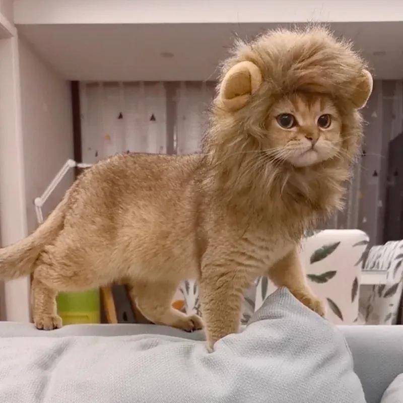 Katt Lejonman Halloweenkostym Lejonkostym för Små Katter och Kattungar – för Halloween, Kattens Födelsedag, Katt Cosplay, Kattkläder