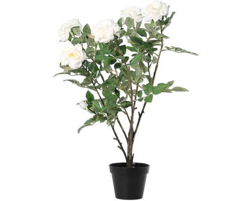 Konstblomma LAFIORA ros i kruka 78cm vit