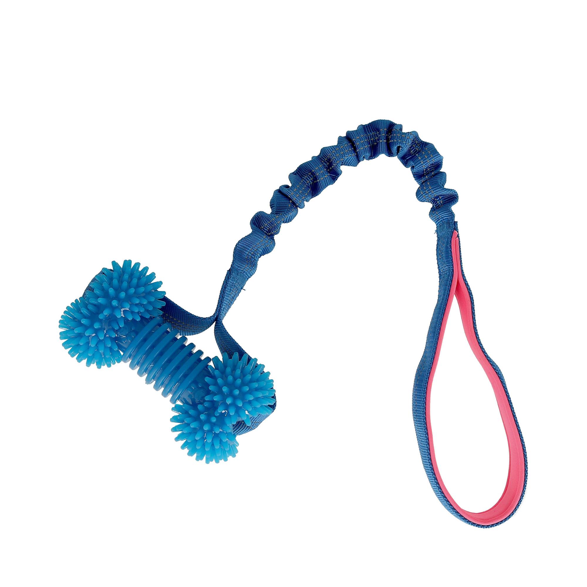 Bungee Bone Valpleksak