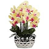 Konstgjorda orkidéer, konstgjorda dekorativa blommor, plastblommor som riktiga med en äkta touch, blommor i keramikkruka, bordsdekoration, för fönsterbräda, höjd 44 cm