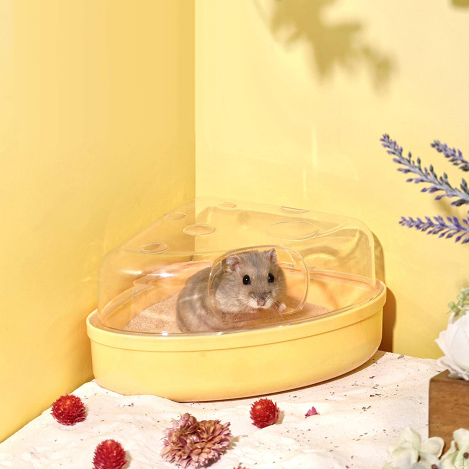 Hamster Sandbadlåda Gerbil Torrbur Tillbehör, Slitstark, Sandlåda, Badkar för